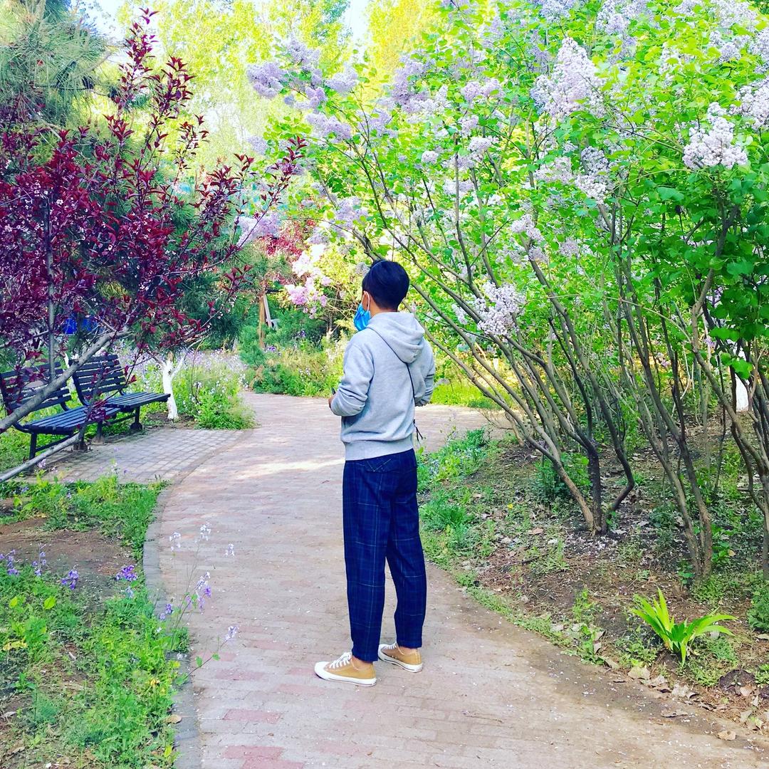 5DC的花园