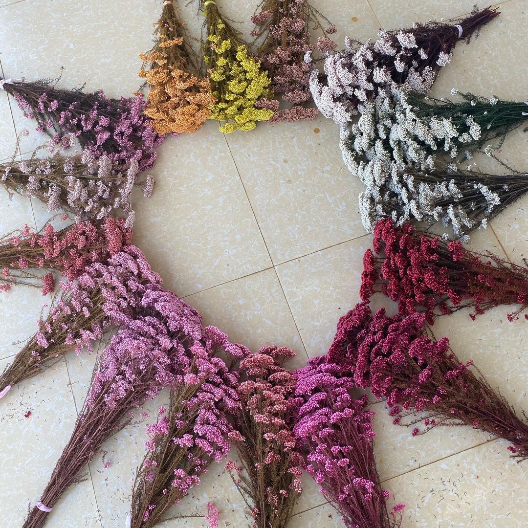 田红芳草阁永生花厂