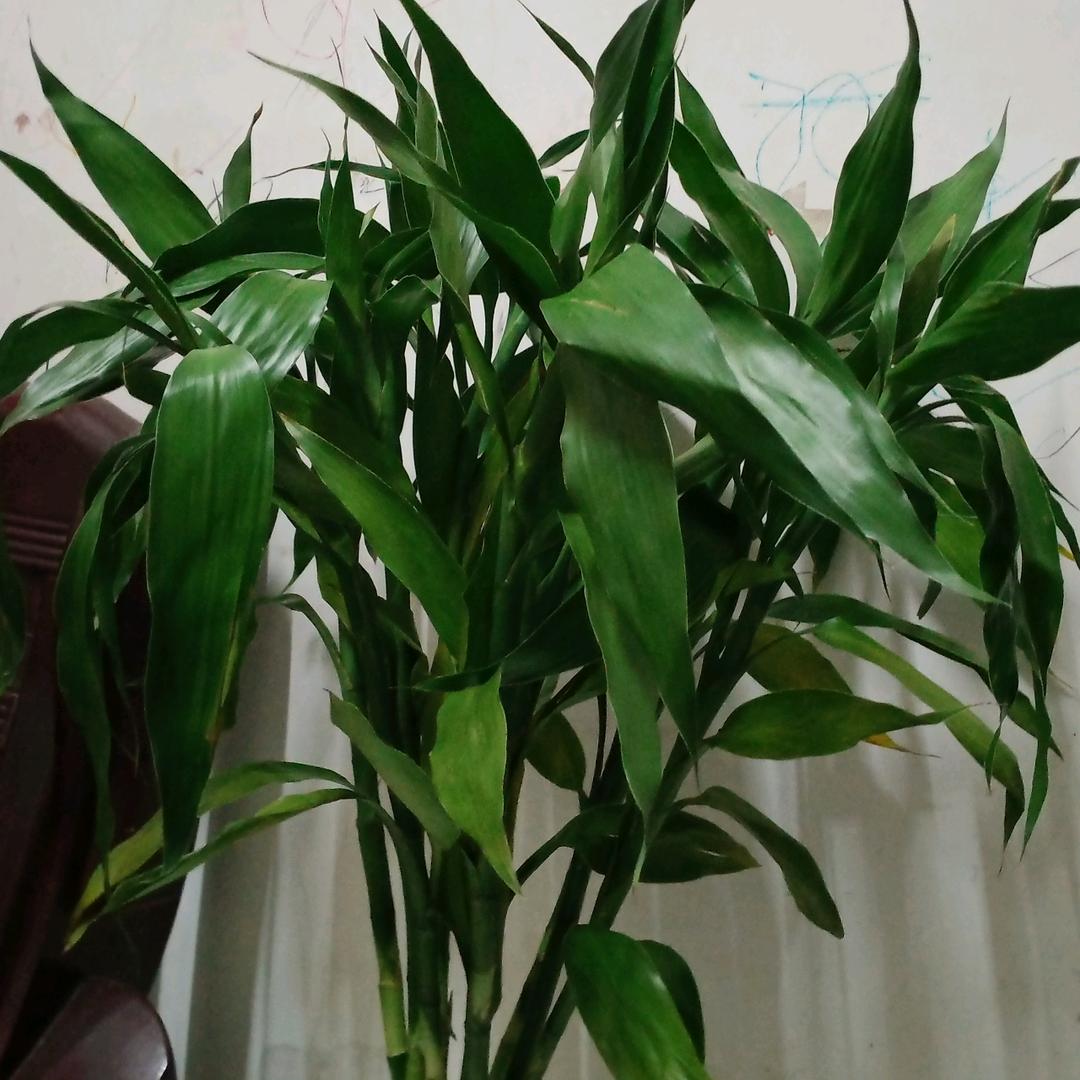 阜阳钱