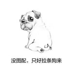 一飞哈子