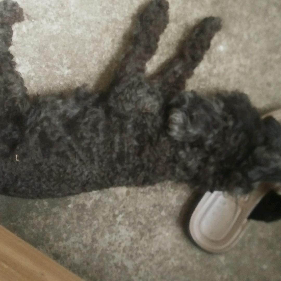 用户1138165965846