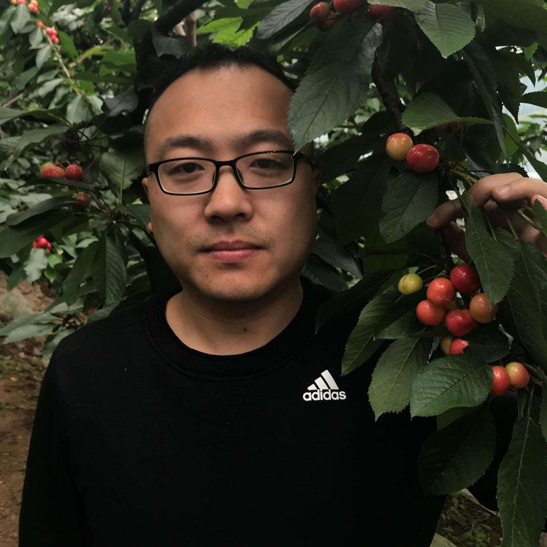 庆哥鲜果
