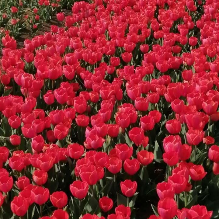 用户4659139542850