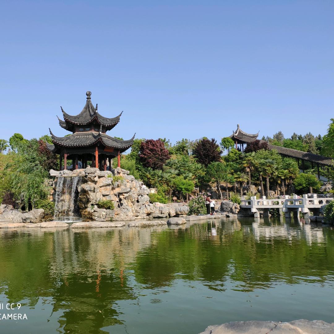 没心没肺