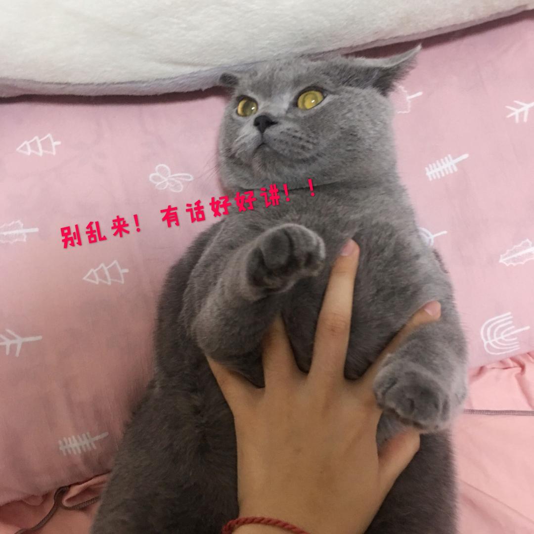 嚯嚯嚯biubiubiu