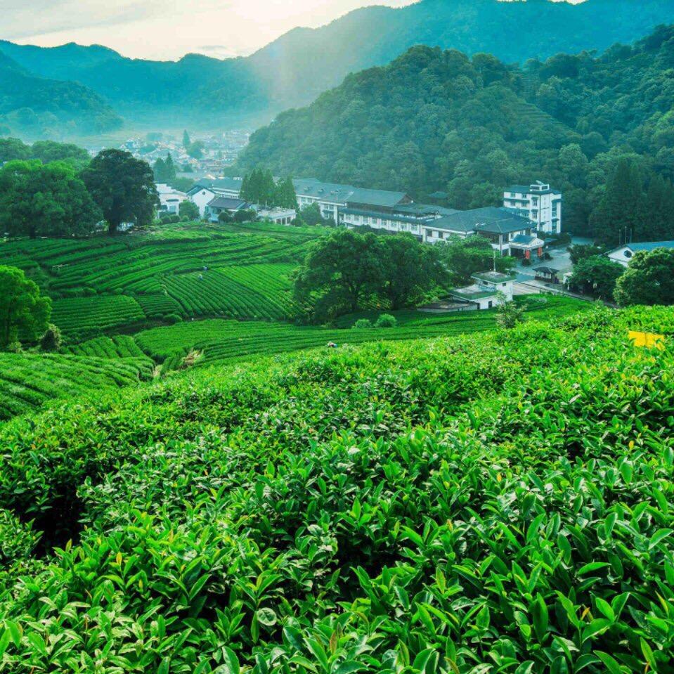 富贵临门