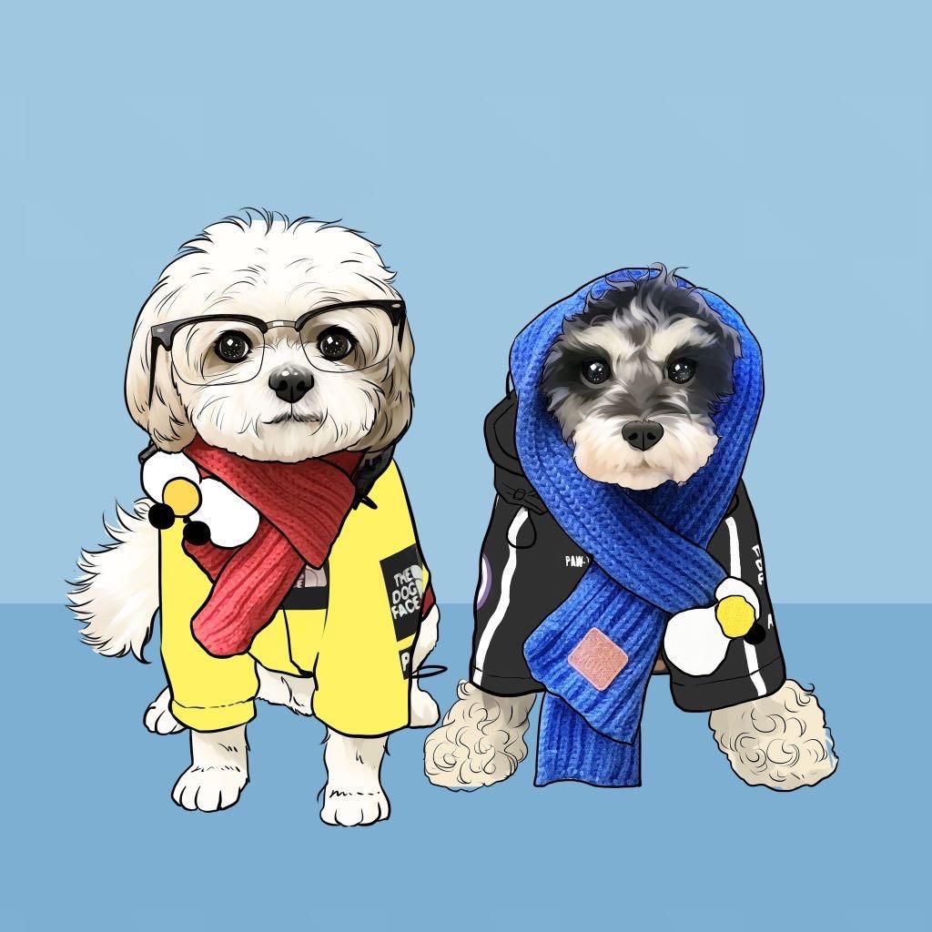 老吴有两小只🐶