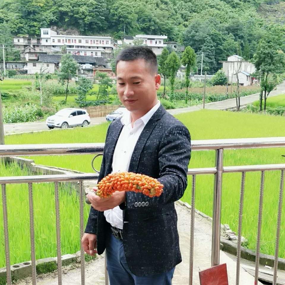 陈波