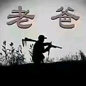 随心所欲
