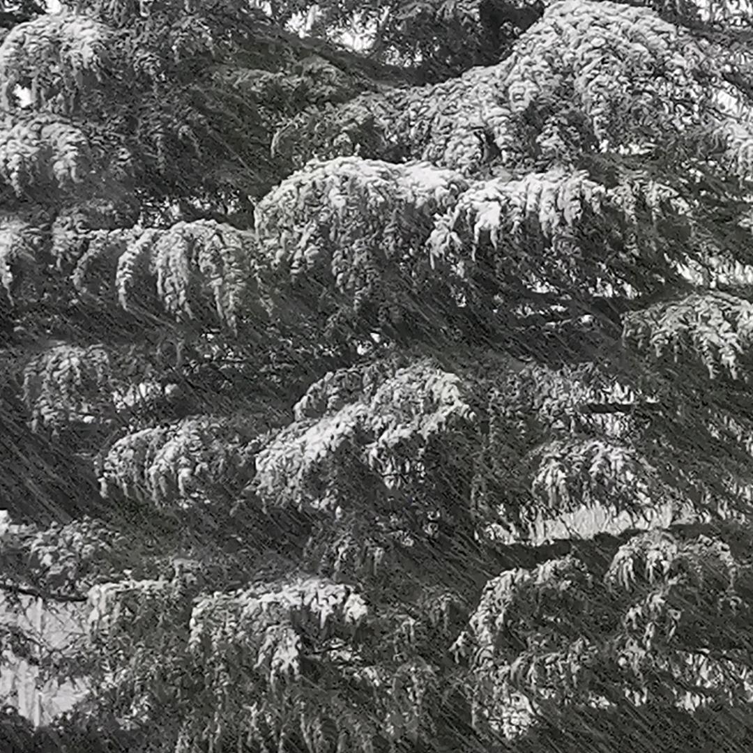 明天会更好 ，，