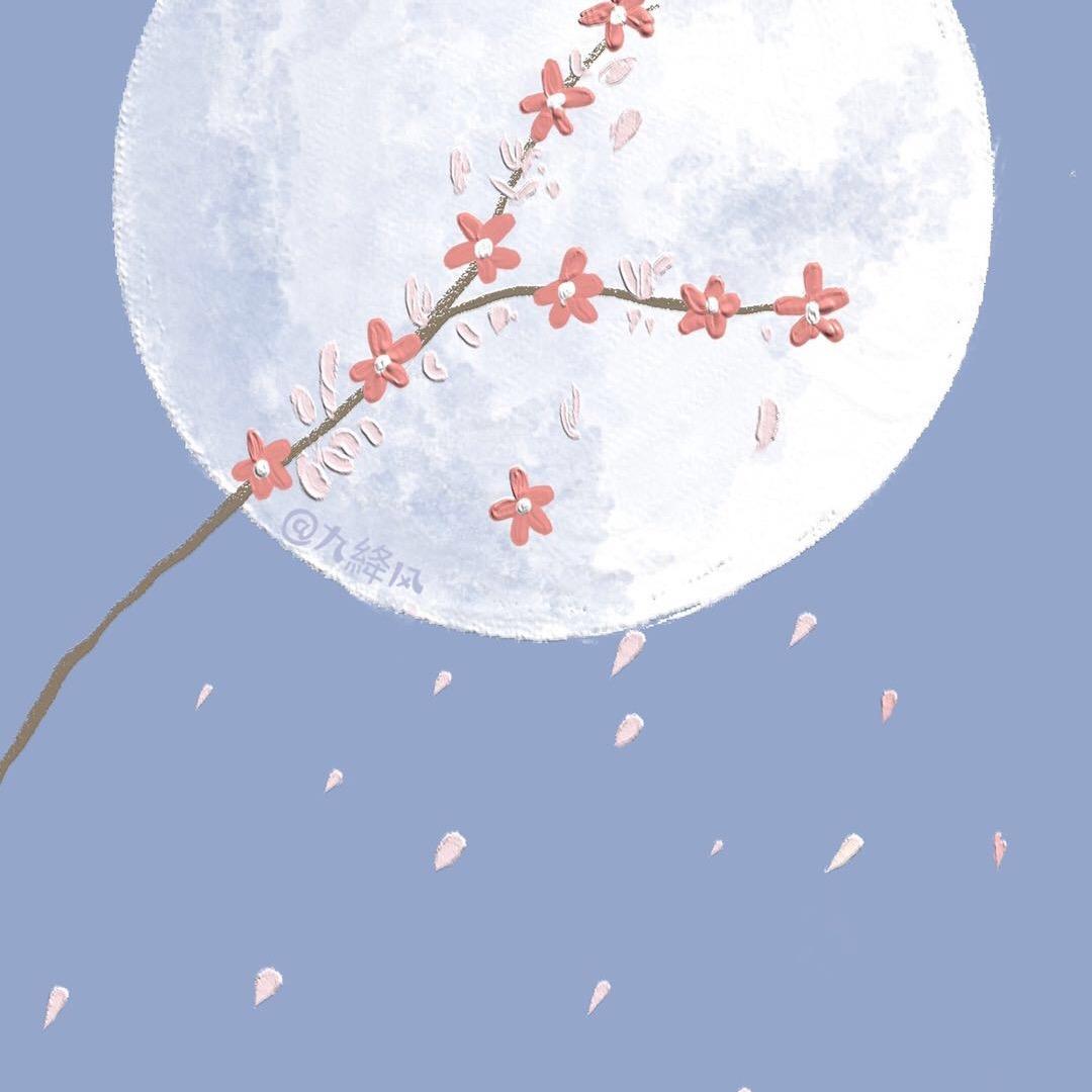 用户599曹有玉