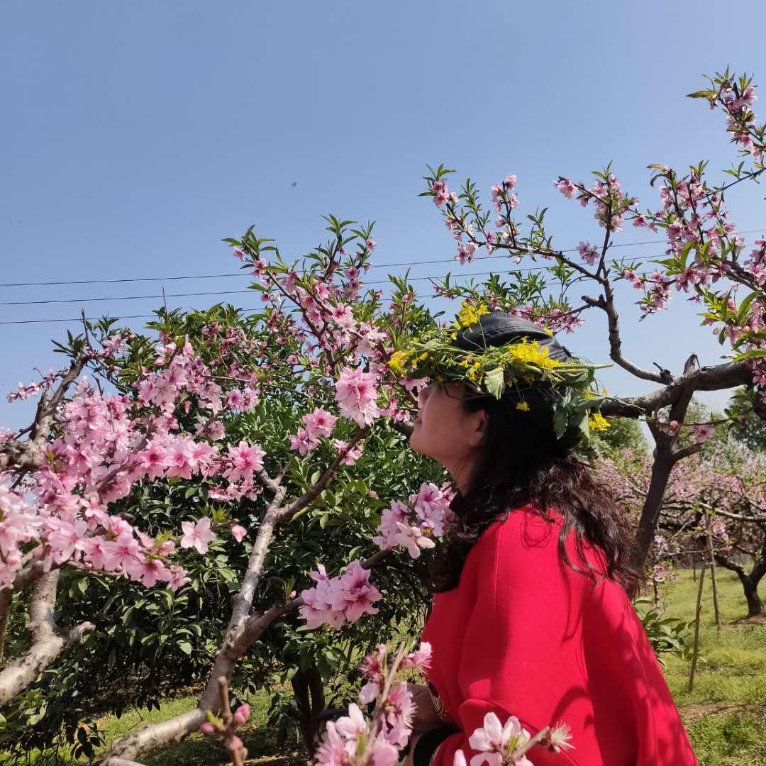 春风十里