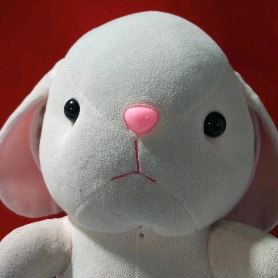 创新数理化、会计、计算机