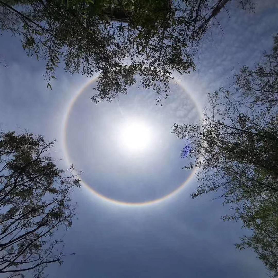 大海之滨