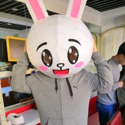 家人们谁董先生