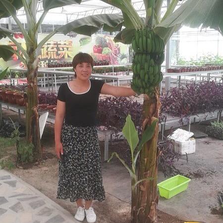 幸福花儿一样