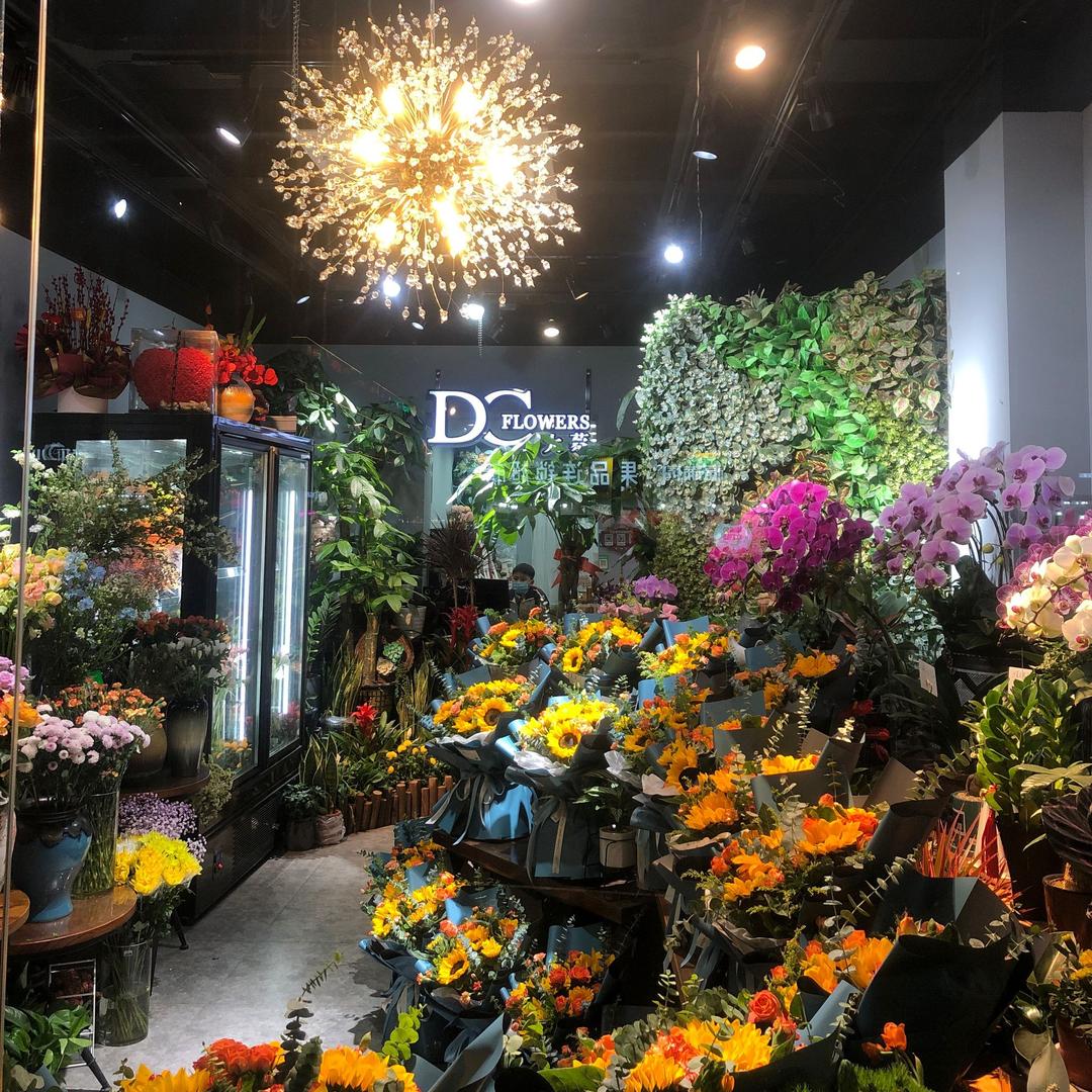 DC碧波店