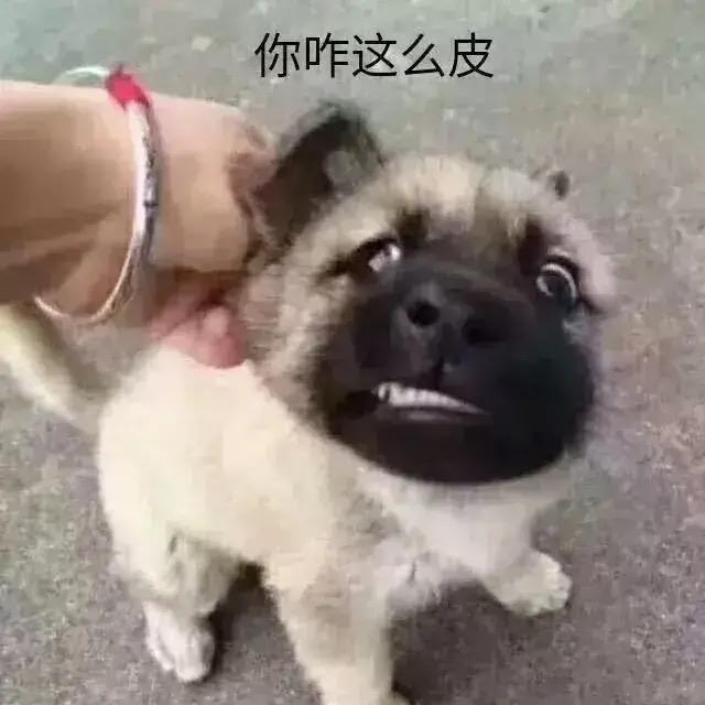 东东解说