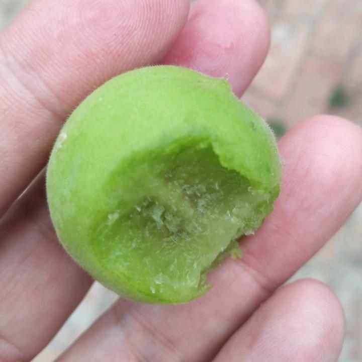 我来了a