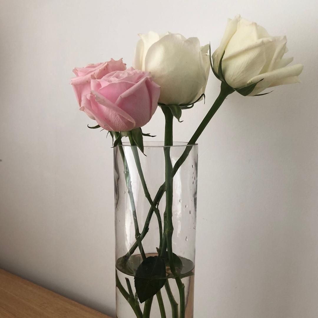 北京合同程律师