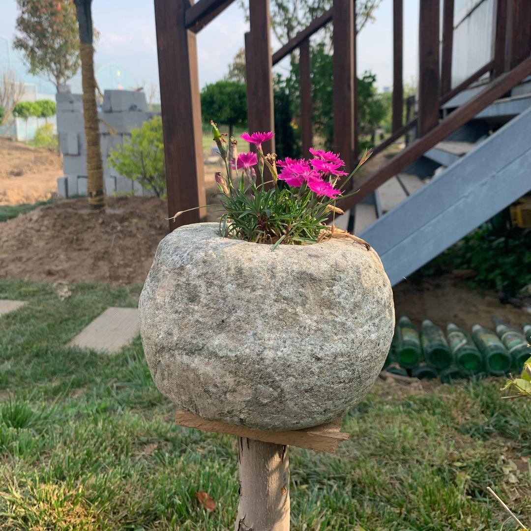 艾格盛～薛奎龙