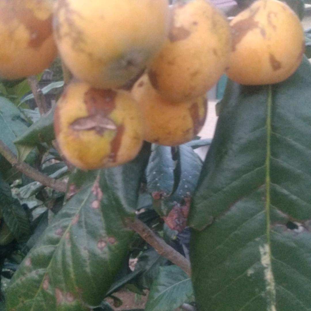 不忘初❤牢记使命