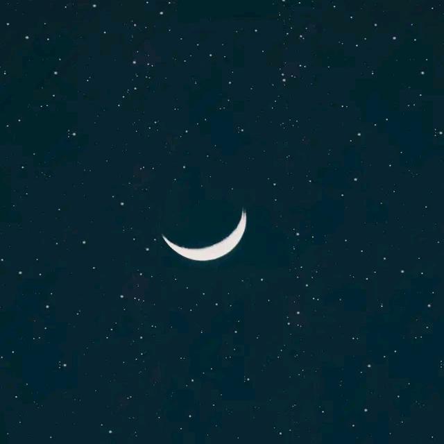 星星不说话啊