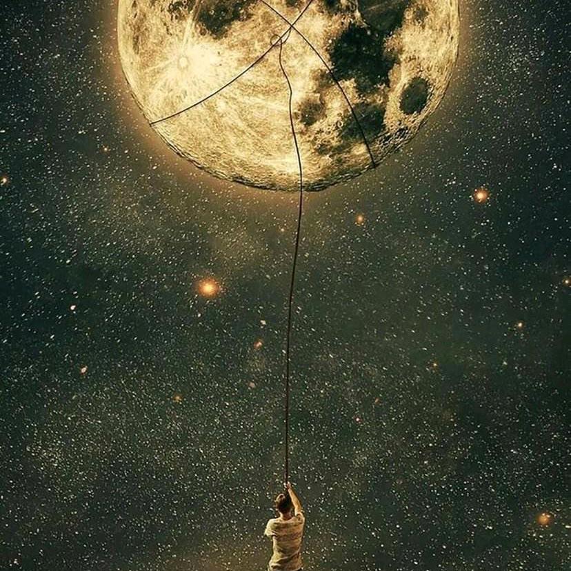 王冠不要