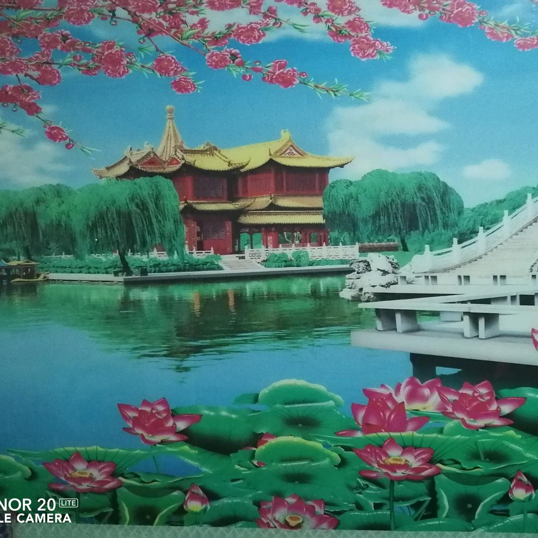 用户8351324382686