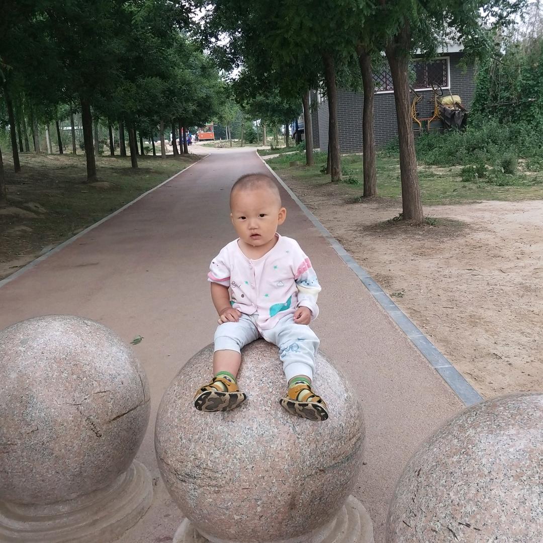 寻阁子