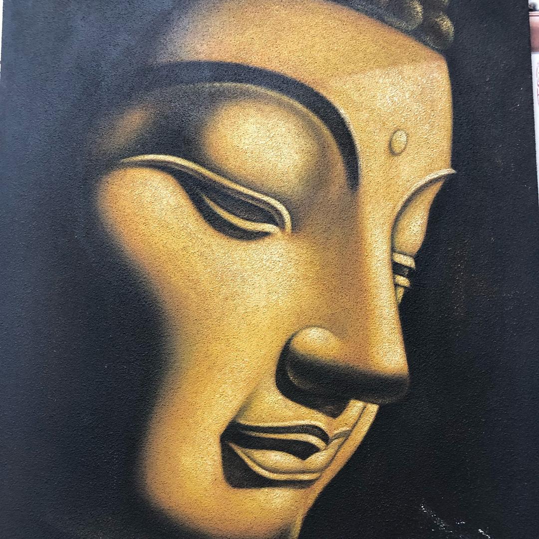 七鸽