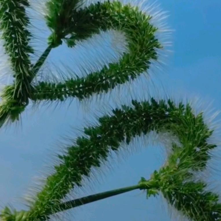 最熟悉的陌生人～