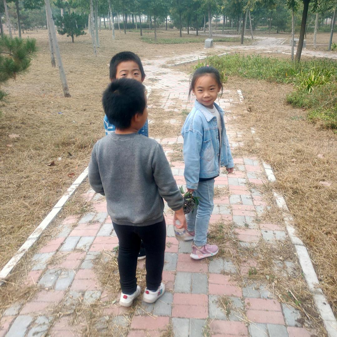 詹眉