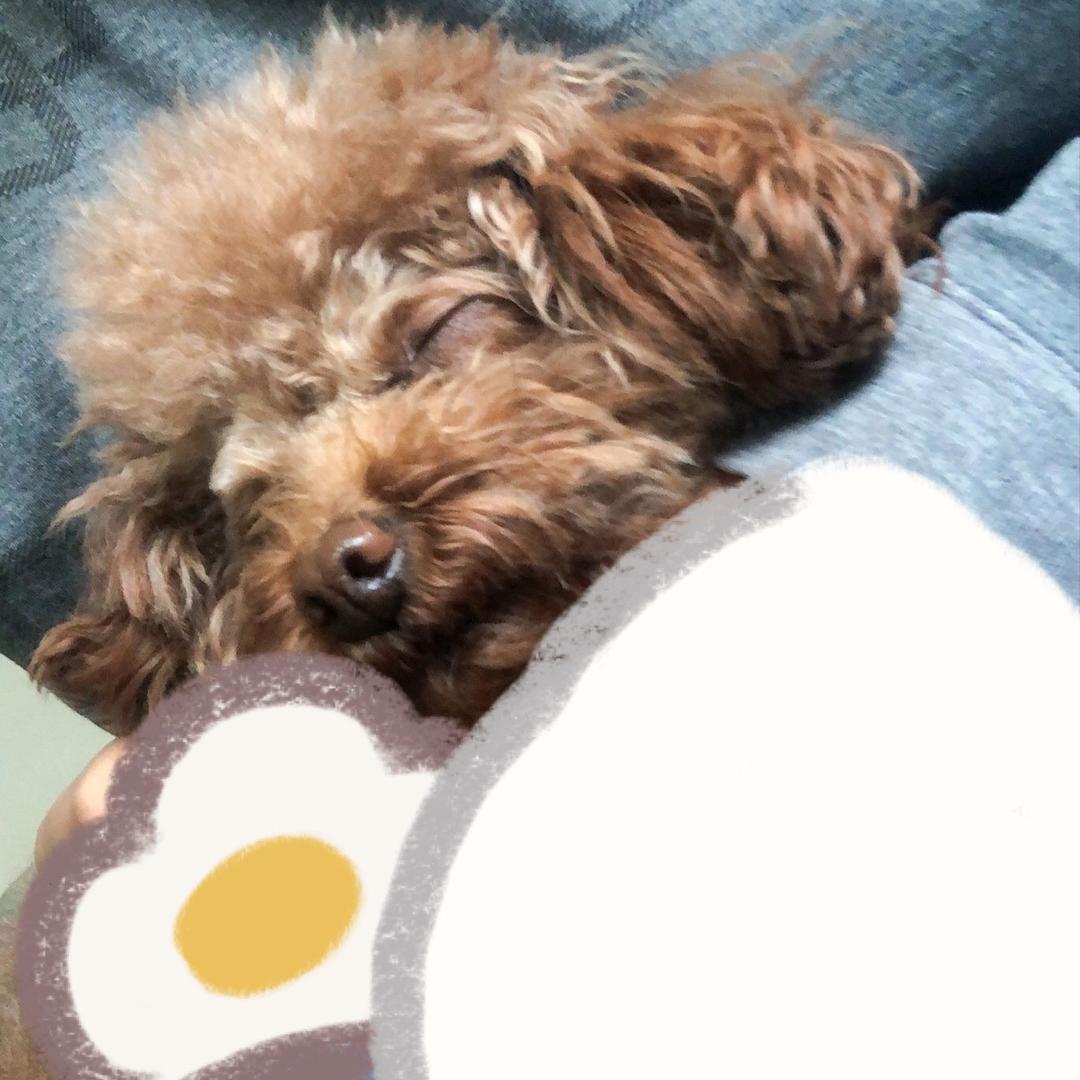 Zzzz