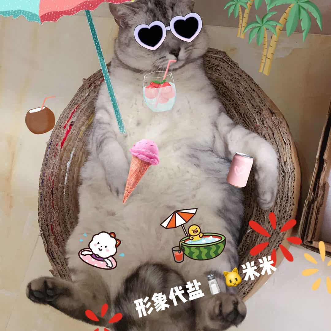 林懒懒〰️