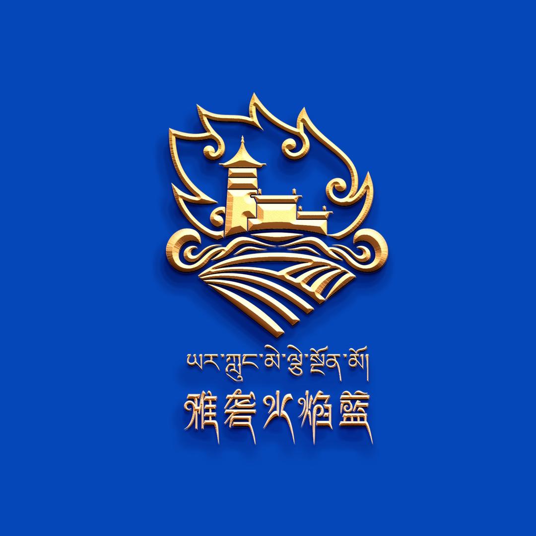 西藏山南消防