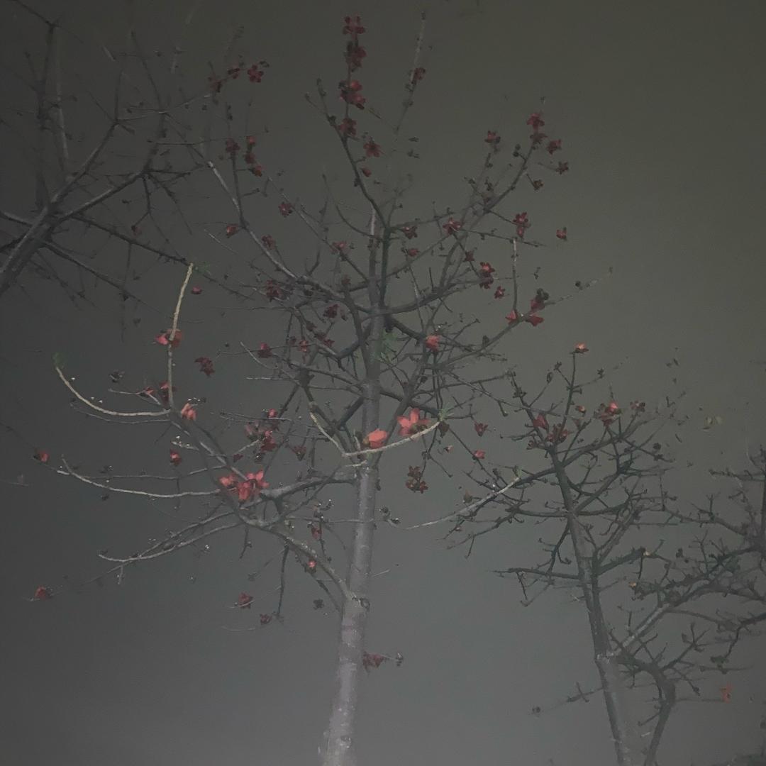 岳公桥 永恒通信