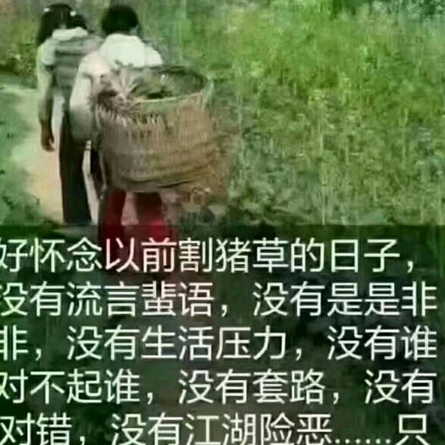 武义桐琴王端头老四川饭店