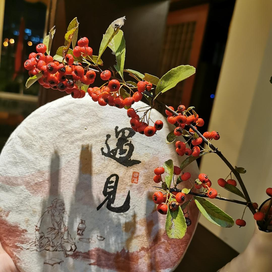 梅仙儿