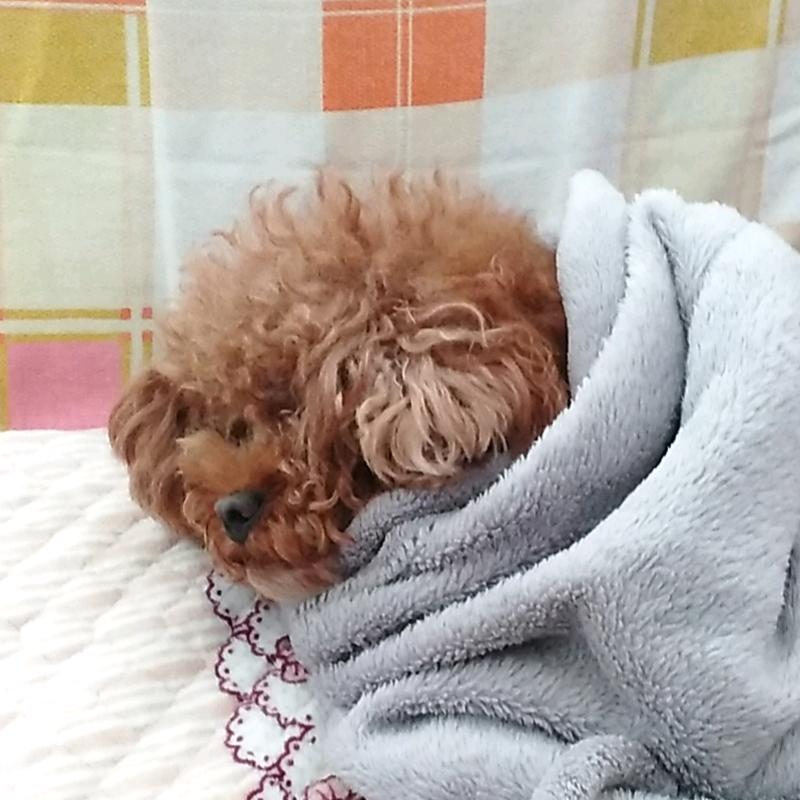 自由自在。