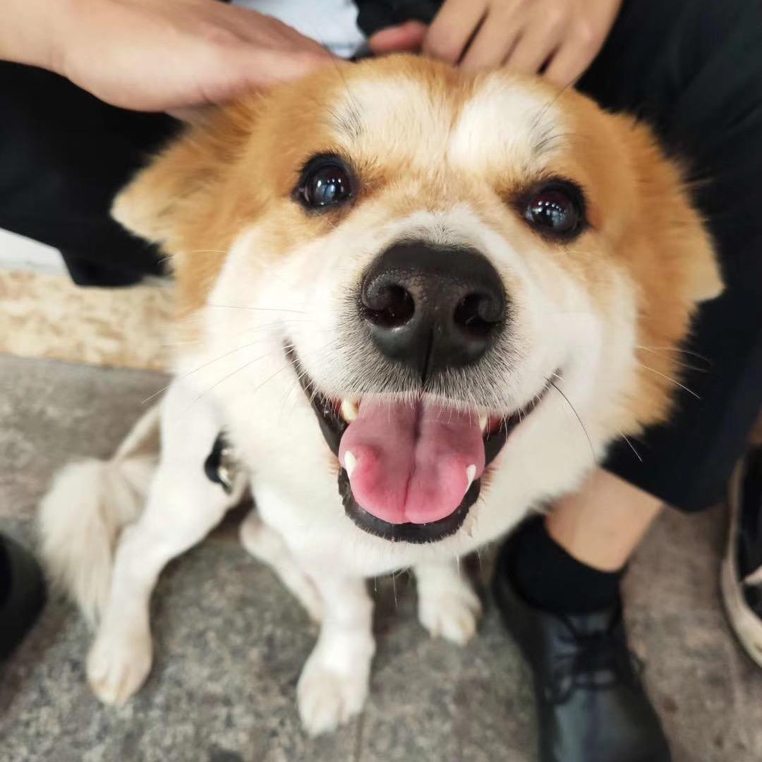 梁姐姐💕