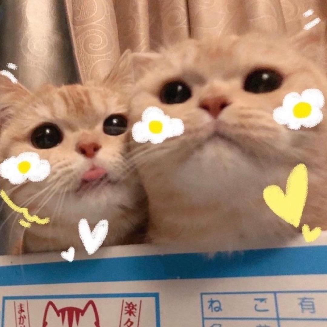 开心阿圈