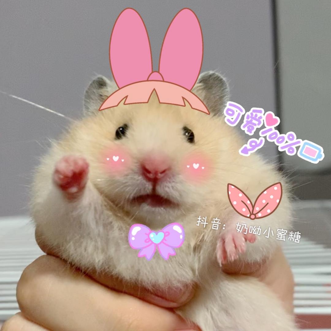 奶呦小蜜糖