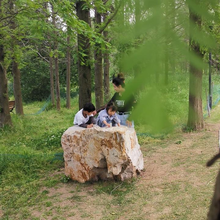合肥鑫申元机电王猛