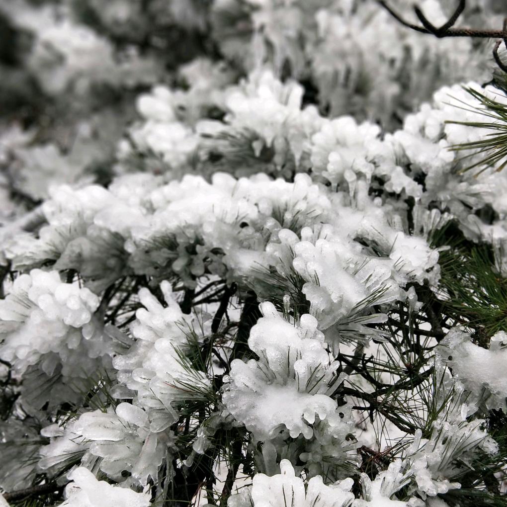曦曦