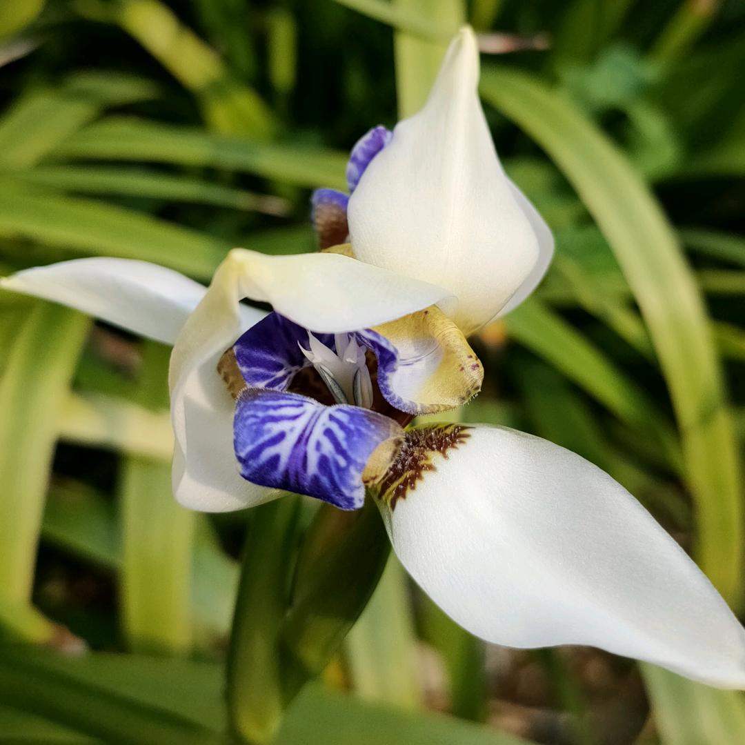 用户7524056593267酷炫一族