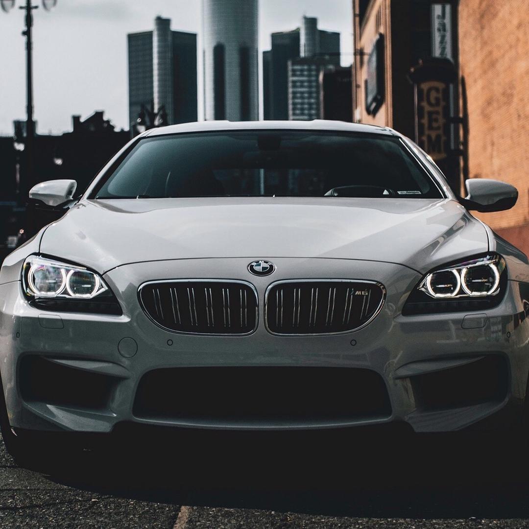 满山的猴子我腚最红