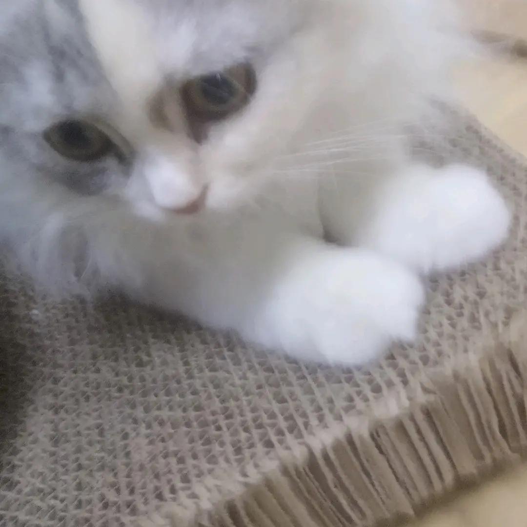 幺妹儿🌹🌹🌹