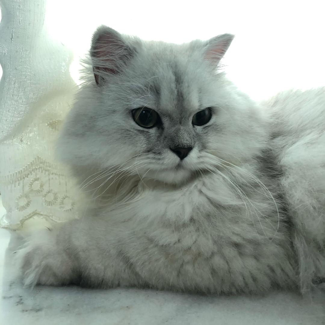 雨后、彩虹