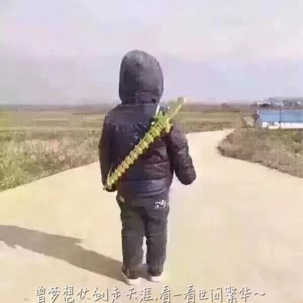 小伊伊